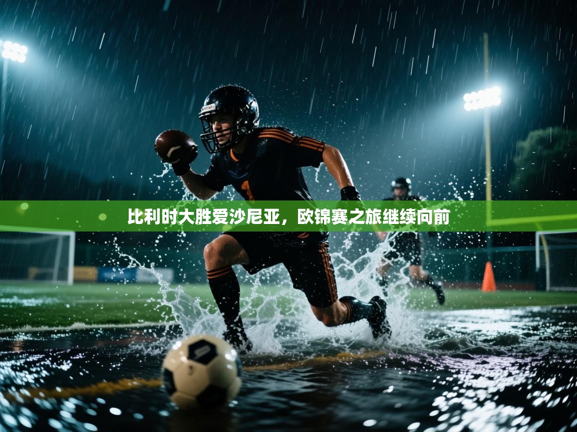 比利时大胜爱沙尼亚，欧锦赛之旅继续向前  第2张