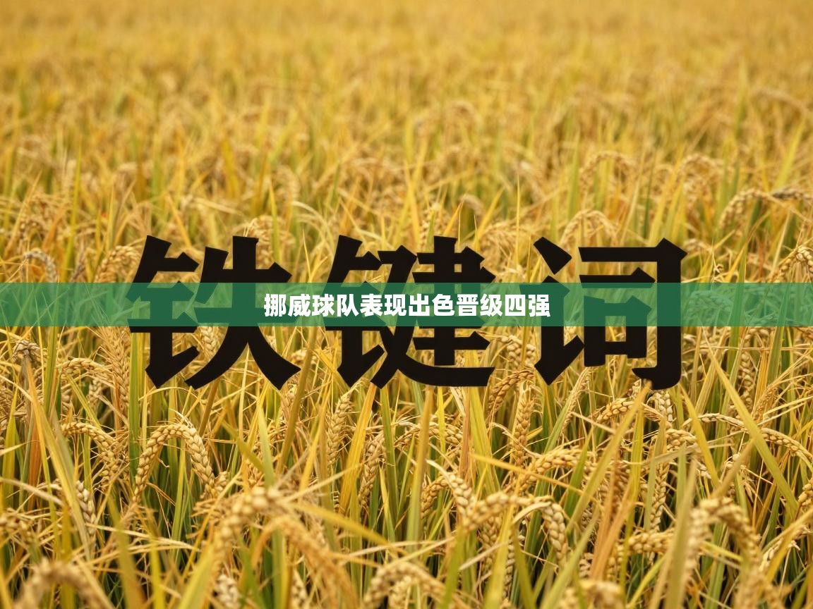 挪威球队表现出色晋级四强